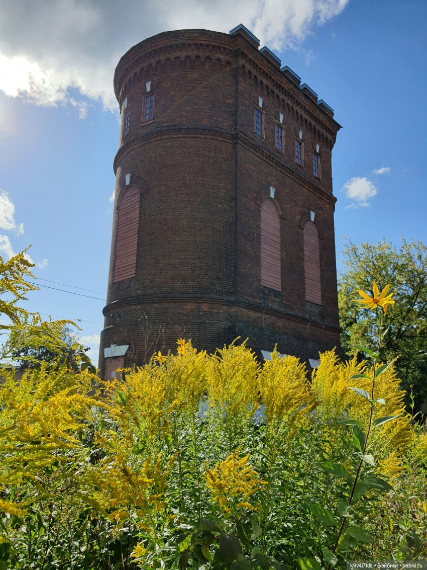 Сонечкин Август — Куклы Sylvia Natterer (Сильвия Наттерер): Gotz