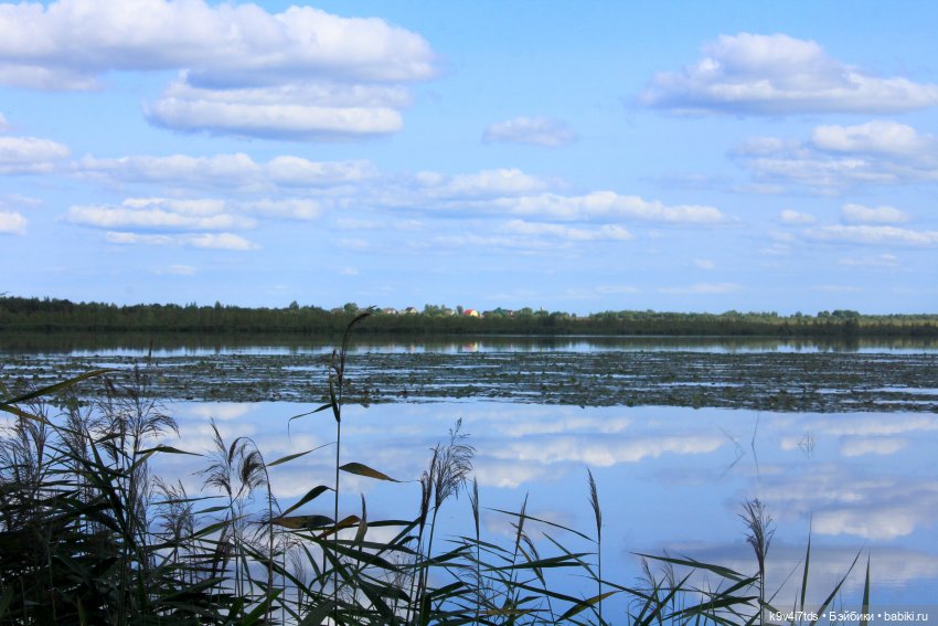 Сонечкин Август — Куклы Sylvia Natterer (Сильвия Наттерер): Gotz