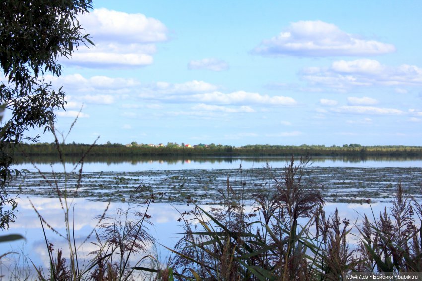 Сонечкин Август — Куклы Sylvia Natterer (Сильвия Наттерер): Gotz