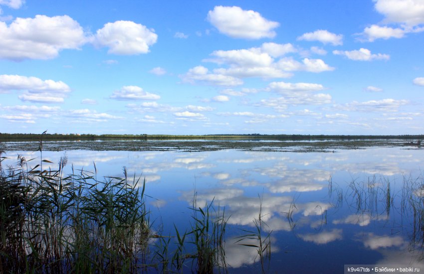 Сонечкин Август — Куклы Sylvia Natterer (Сильвия Наттерер): Gotz