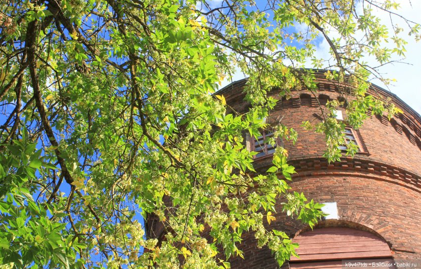 Сонечкин Август — Куклы Sylvia Natterer (Сильвия Наттерер): Gotz