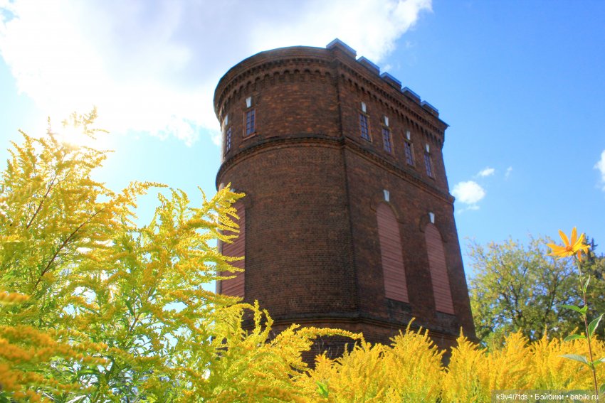 Сонечкин Август — Куклы Sylvia Natterer (Сильвия Наттерер): Gotz