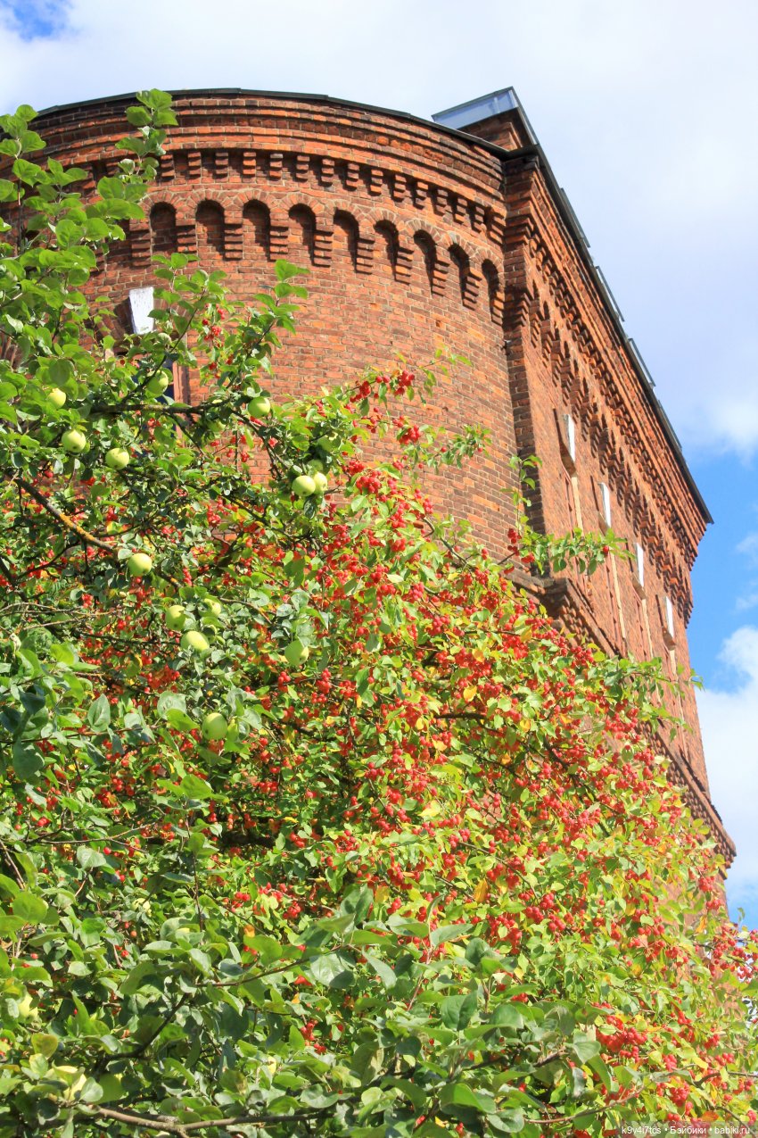 Сонечкин Август — Куклы Sylvia Natterer (Сильвия Наттерер): Gotz