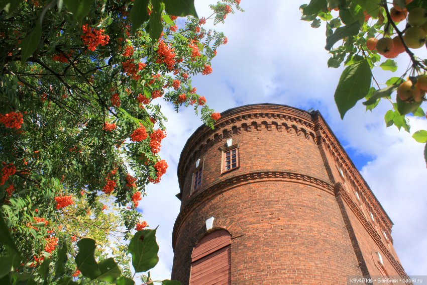 Сонечкин Август — Куклы Sylvia Natterer (Сильвия Наттерер): Gotz