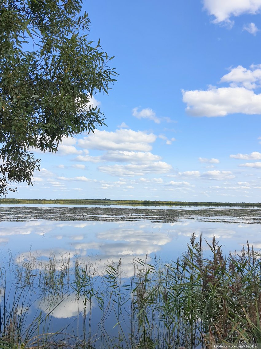 Сонечкин Август — Куклы Sylvia Natterer (Сильвия Наттерер): Gotz