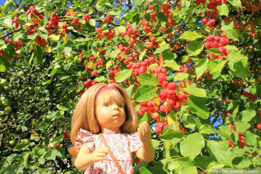 Сонечкин Август — Куклы Sylvia Natterer (Сильвия Наттерер): Gotz