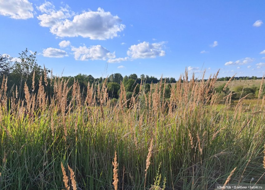 Сонечкин Август, продолжение