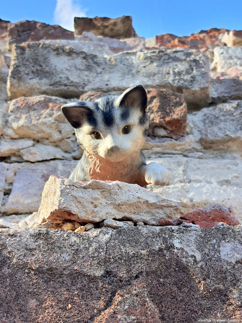 Сонечкин Август, продолжение