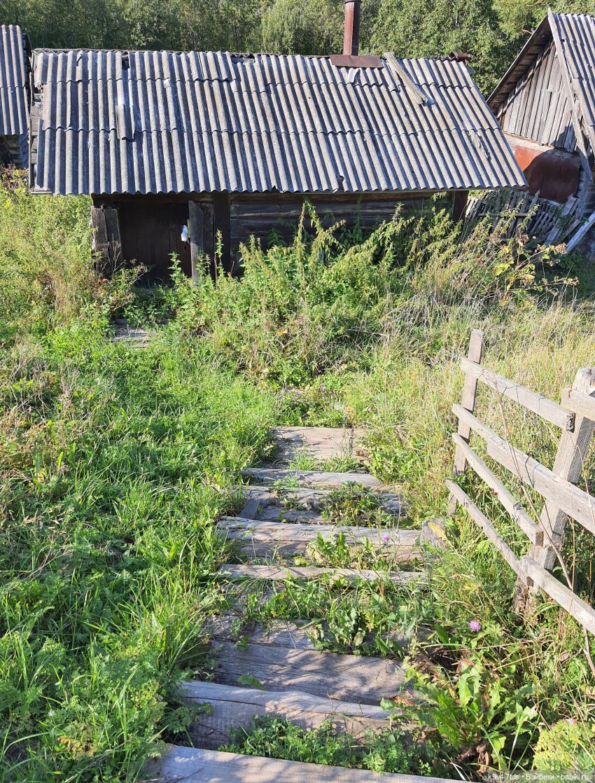Сонечкин Август, продолжение