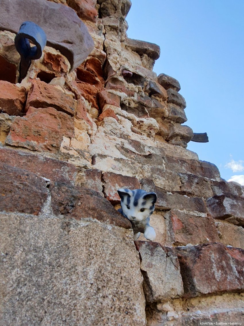 Сонечкин Август, продолжение