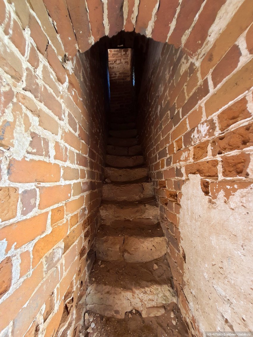 Сонечкин Август, продолжение