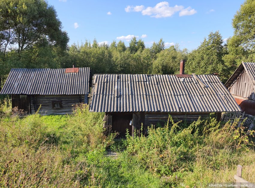 Сонечкин Август, продолжение