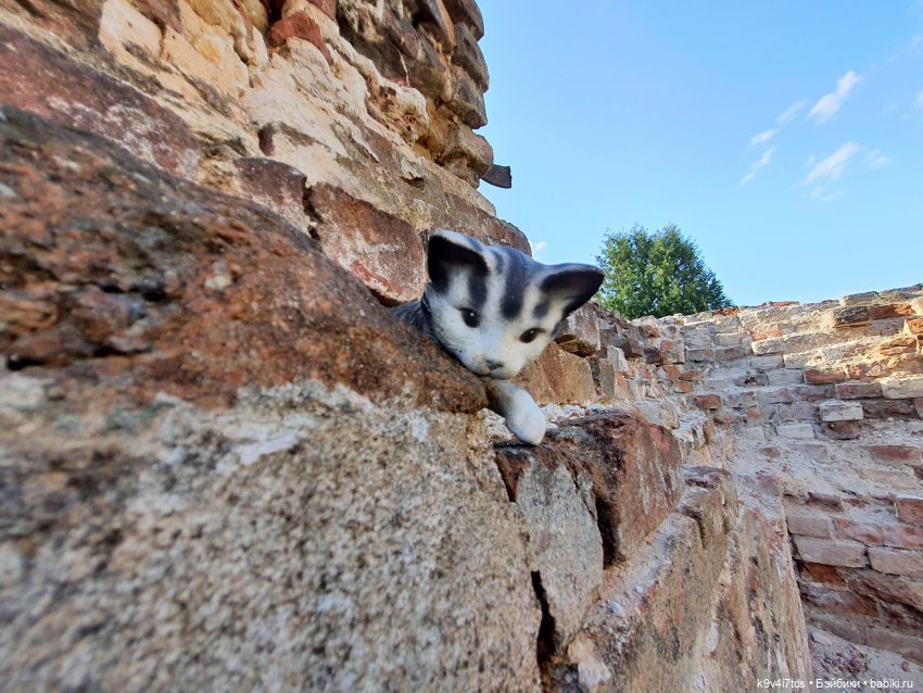Сонечкин Август, продолжение