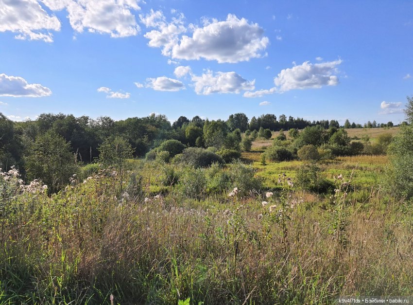 Сонечкин Август, продолжение