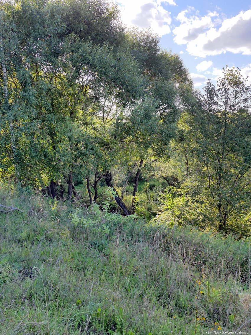 Сонечкин Август, продолжение