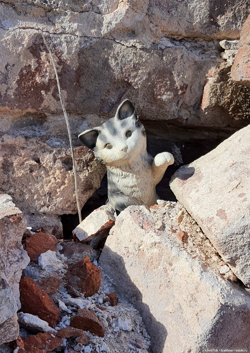 Сонечкин Август, продолжение