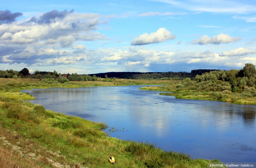 Лучики Света в Ромашковом Сентябре (фото 2)