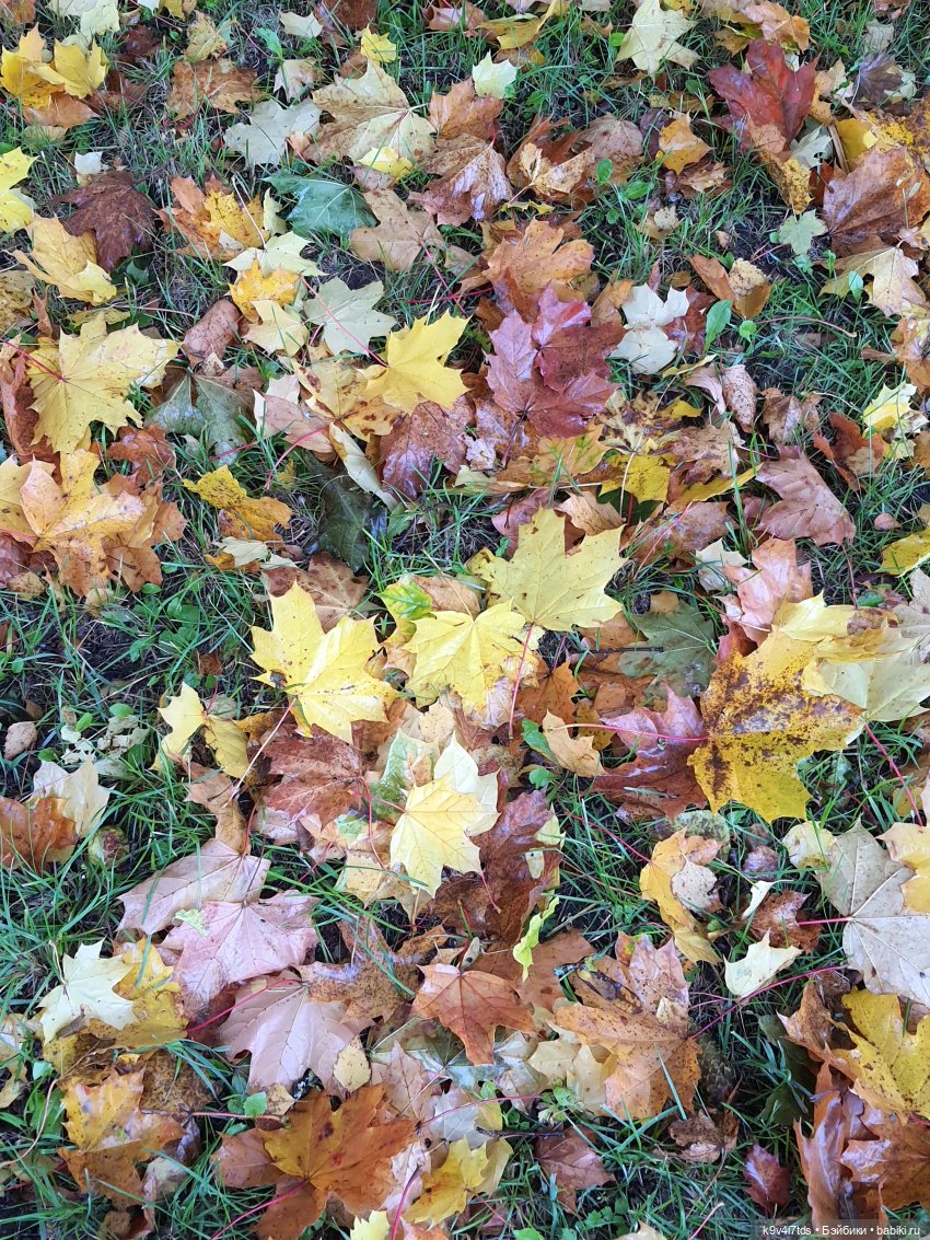 22 сентября. Старицкий Свято-Успенский Монастырь