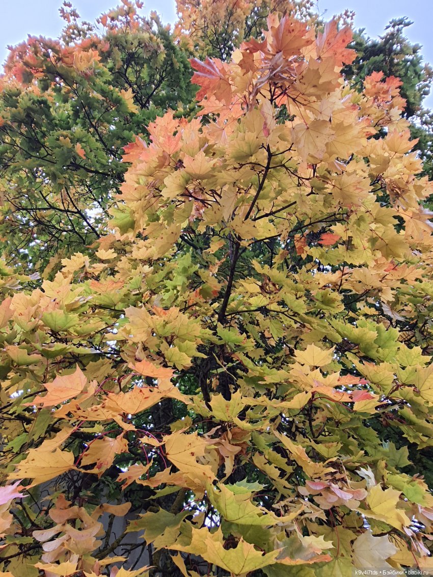 22 сентября. Старицкий Свято-Успенский Монастырь