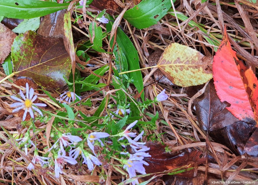 22 сентября. Старицкий Свято-Успенский Монастырь