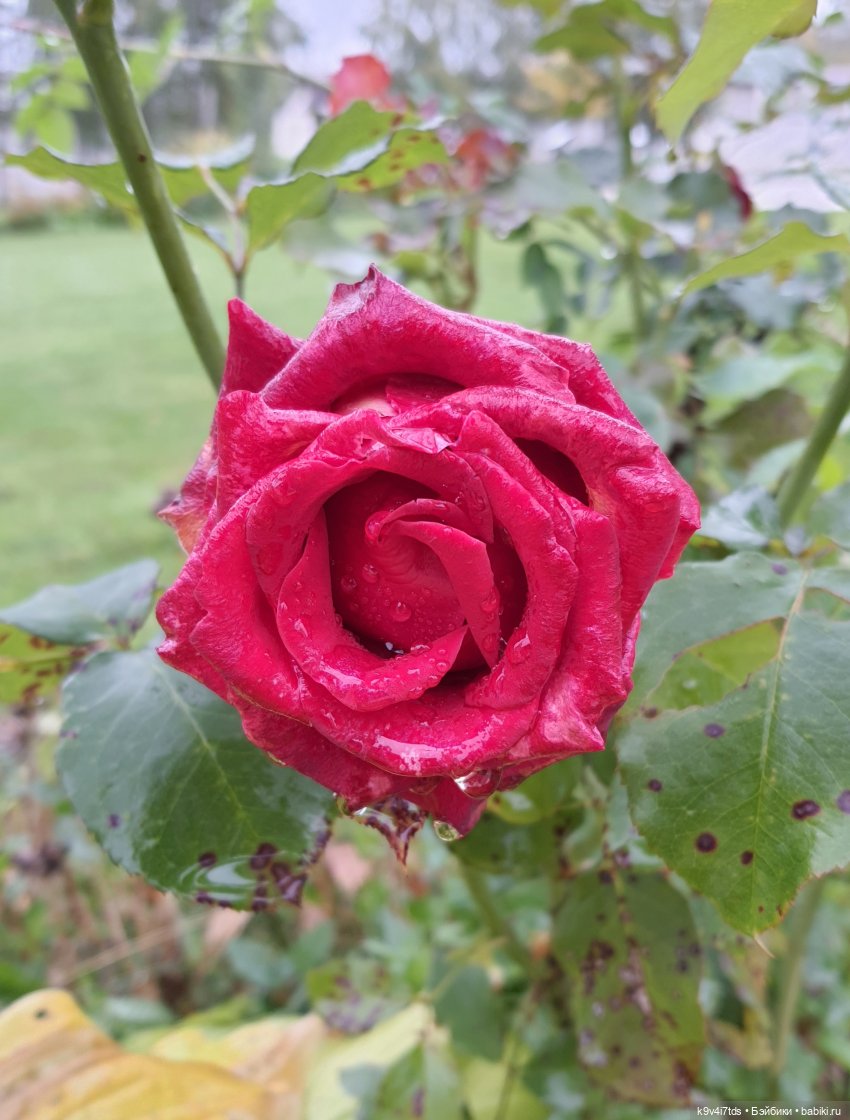 22 сентября. Старицкий Свято-Успенский Монастырь