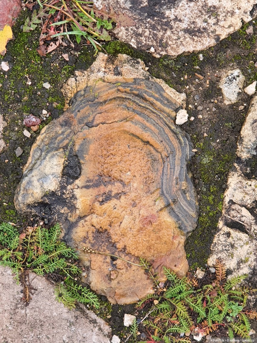 22 сентября. Старицкий Свято-Успенский Монастырь