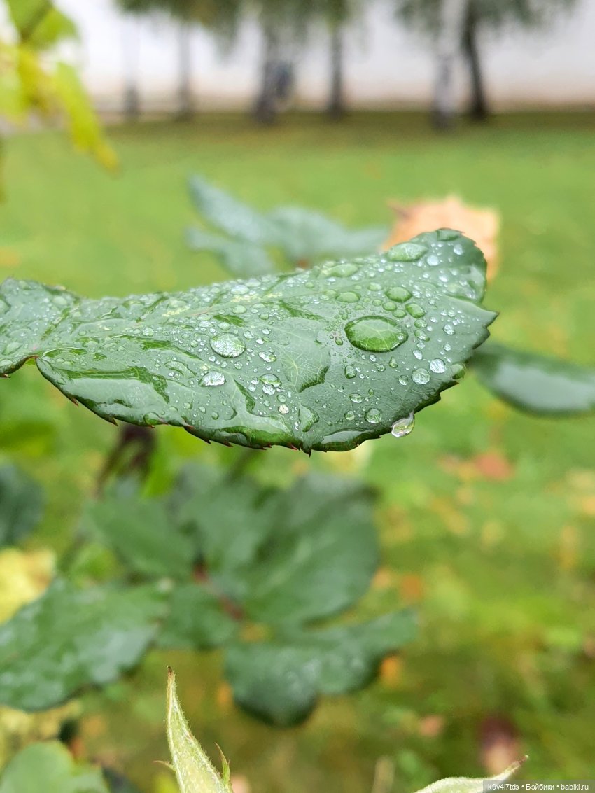 22 сентября. Старицкий Свято-Успенский Монастырь