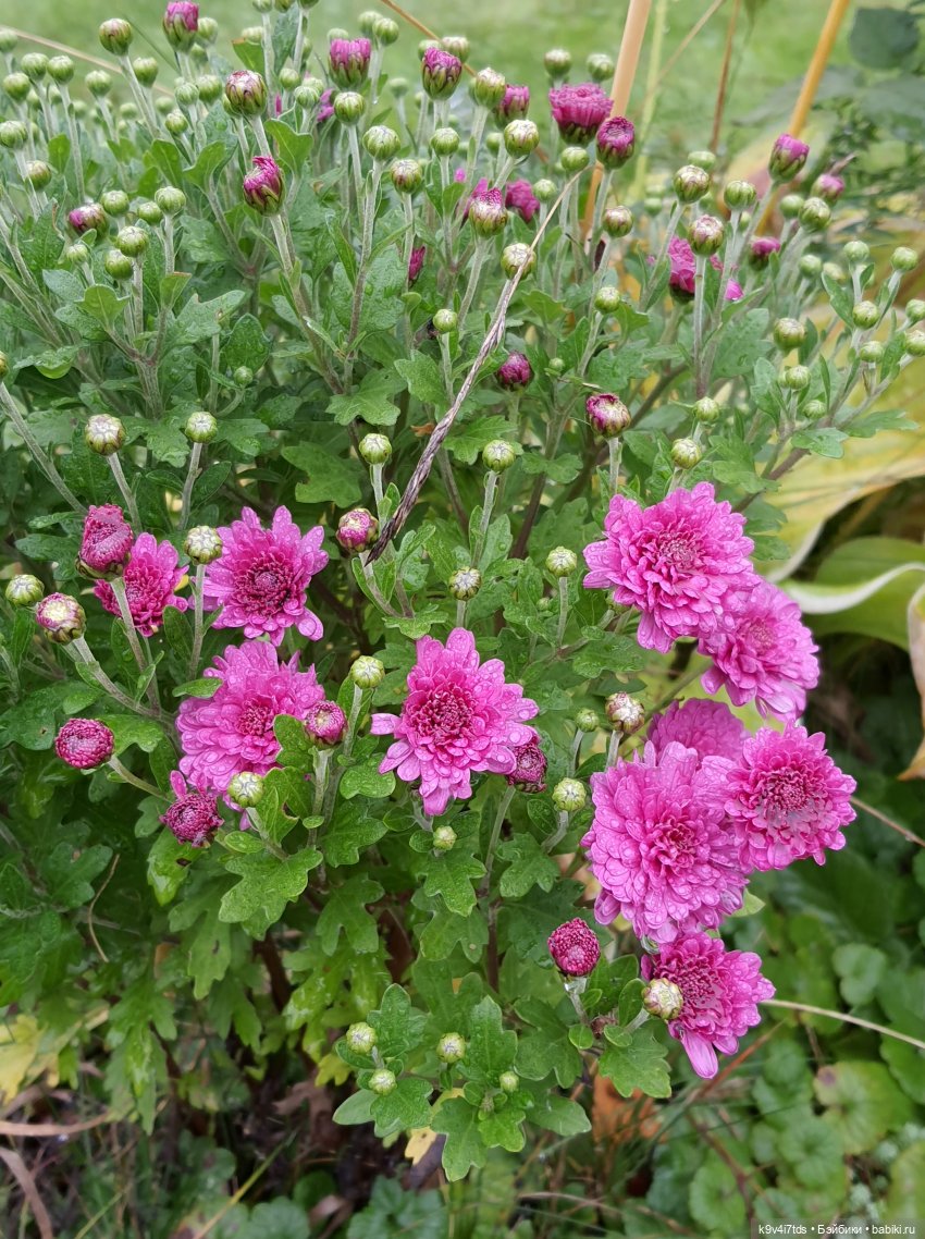 22 сентября. Старицкий Свято-Успенский Монастырь