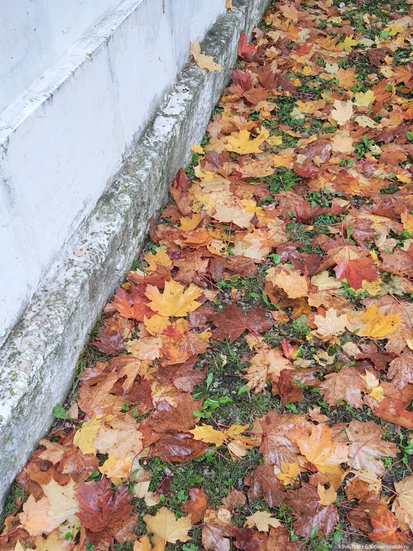 22 сентября. Старицкий Свято-Успенский Монастырь