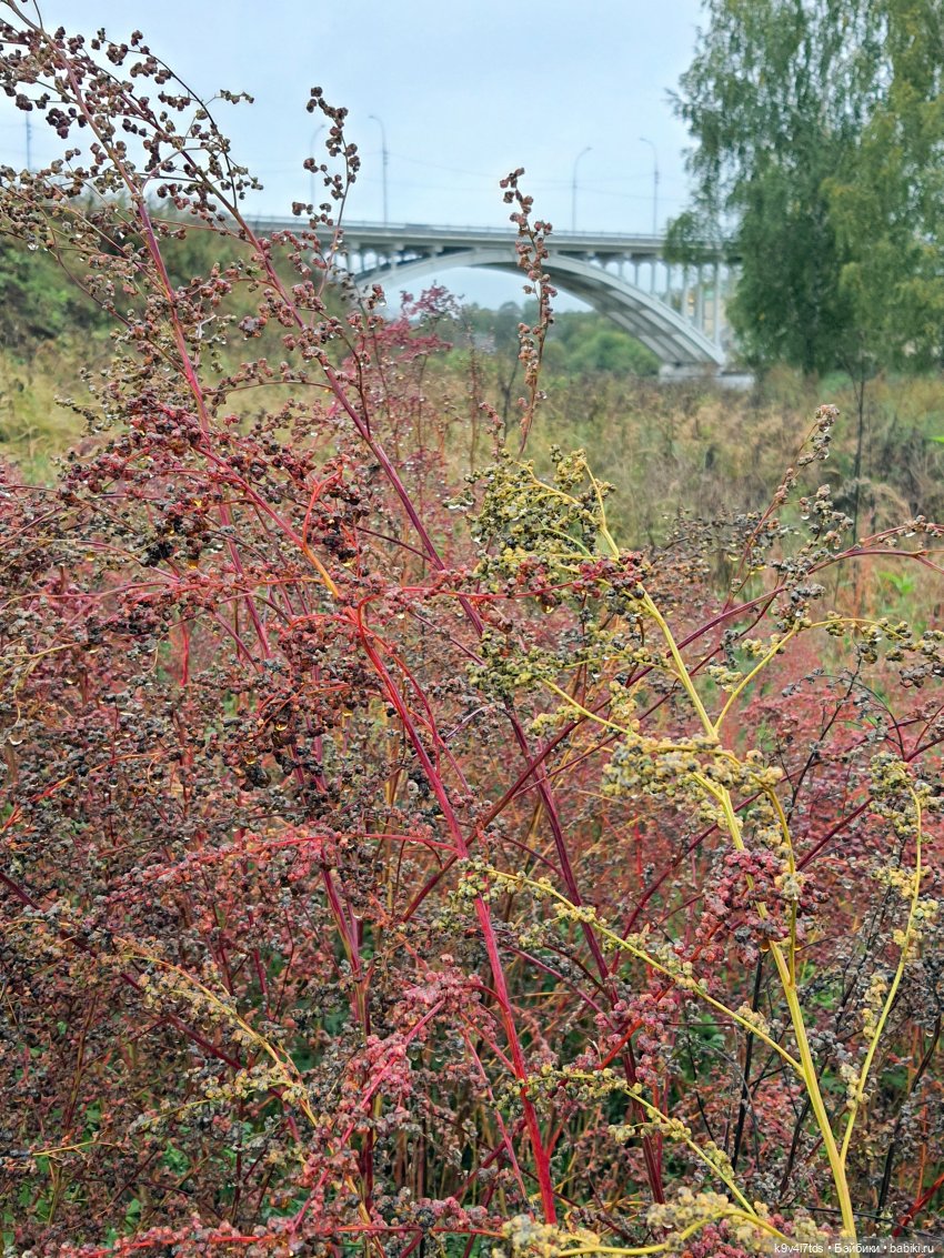 22 сентября. Старицкий Свято-Успенский Монастырь