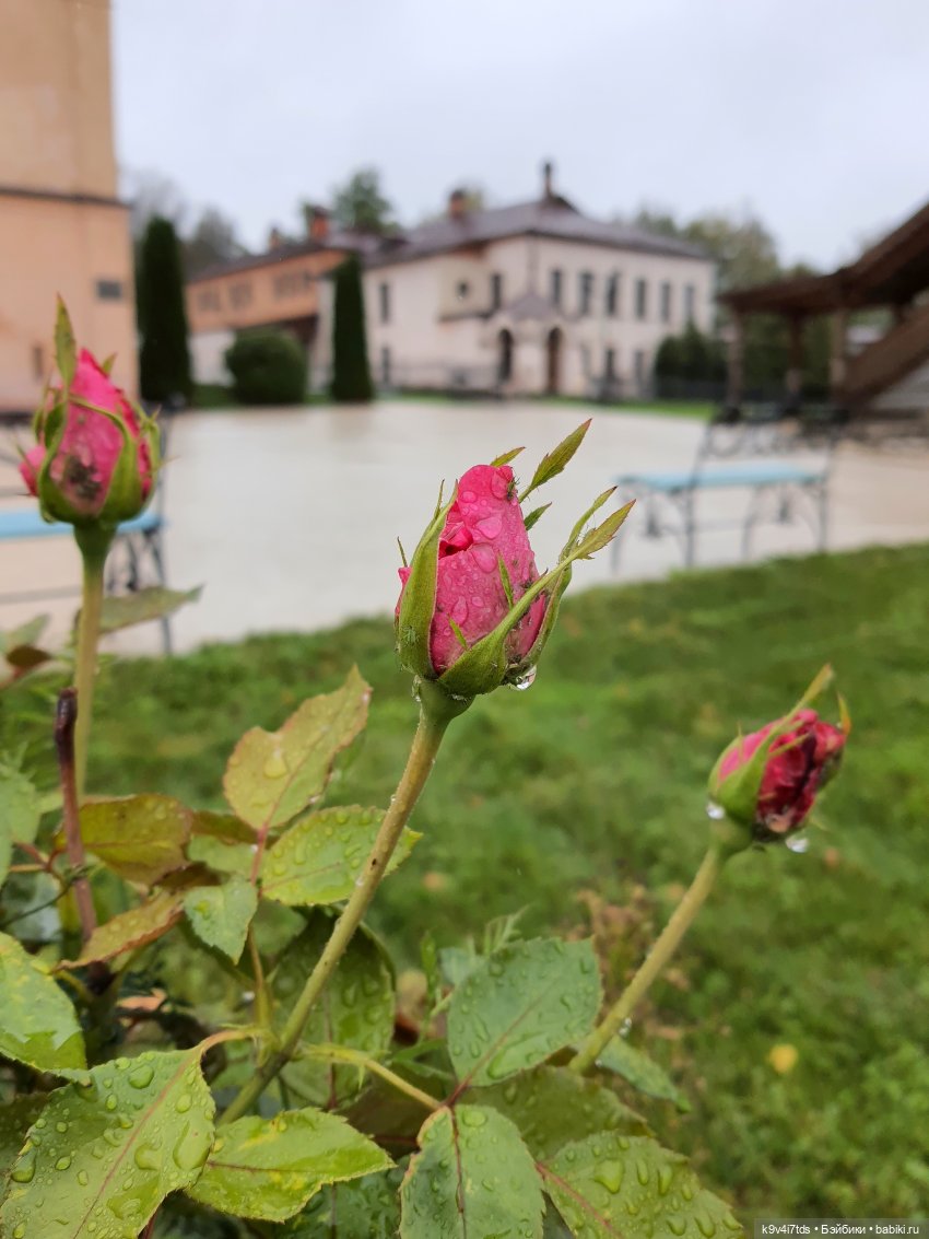 22 сентября. Старицкий Свято-Успенский Монастырь