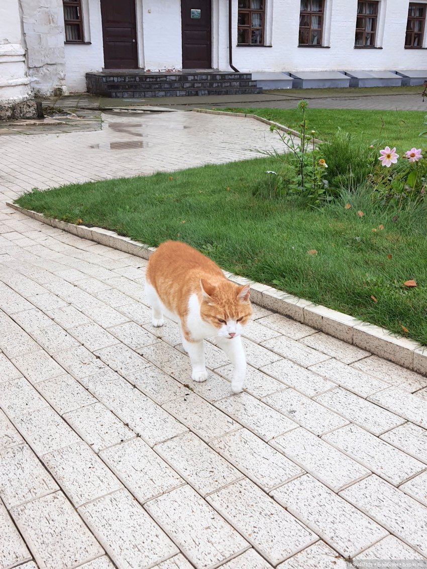 22 сентября. Старицкий Свято-Успенский Монастырь