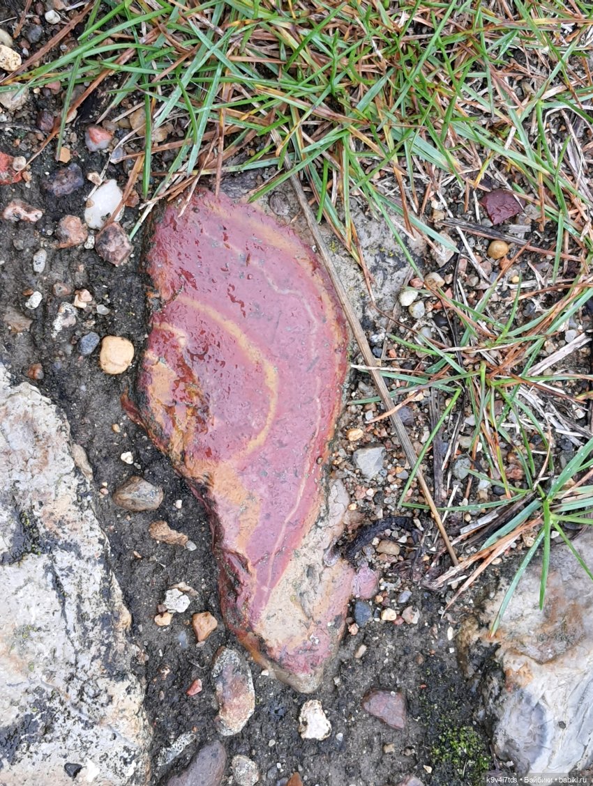 22 сентября. Старицкий Свято-Успенский Монастырь