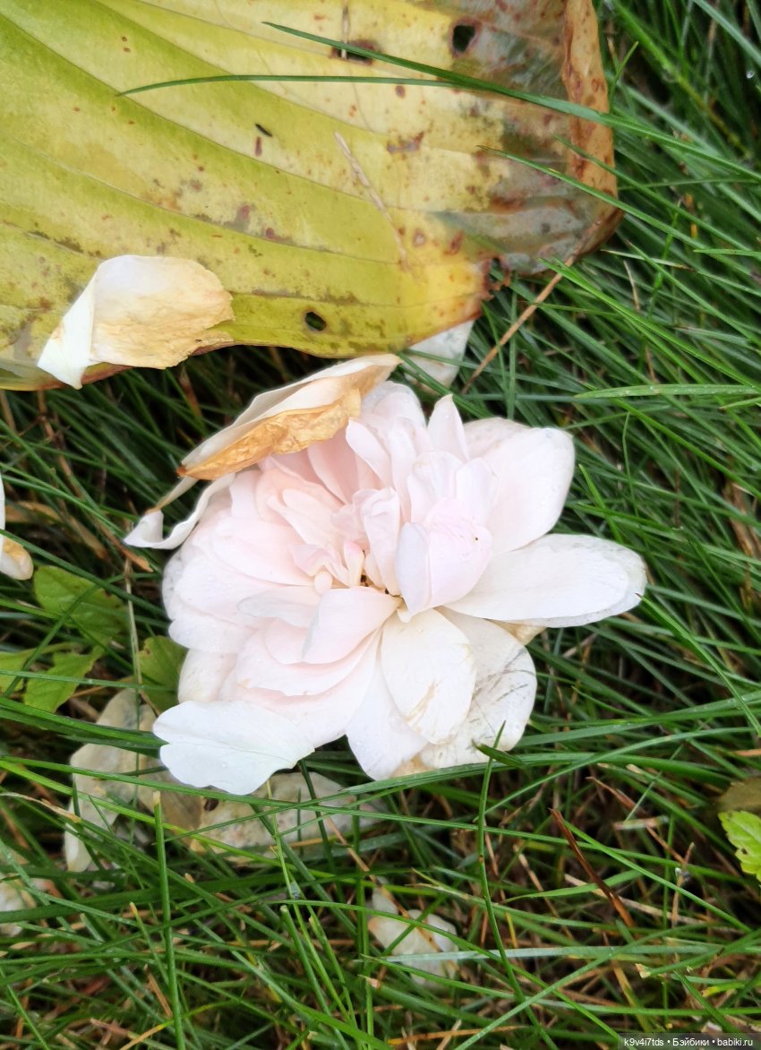 22 сентября. Старицкий Свято-Успенский Монастырь