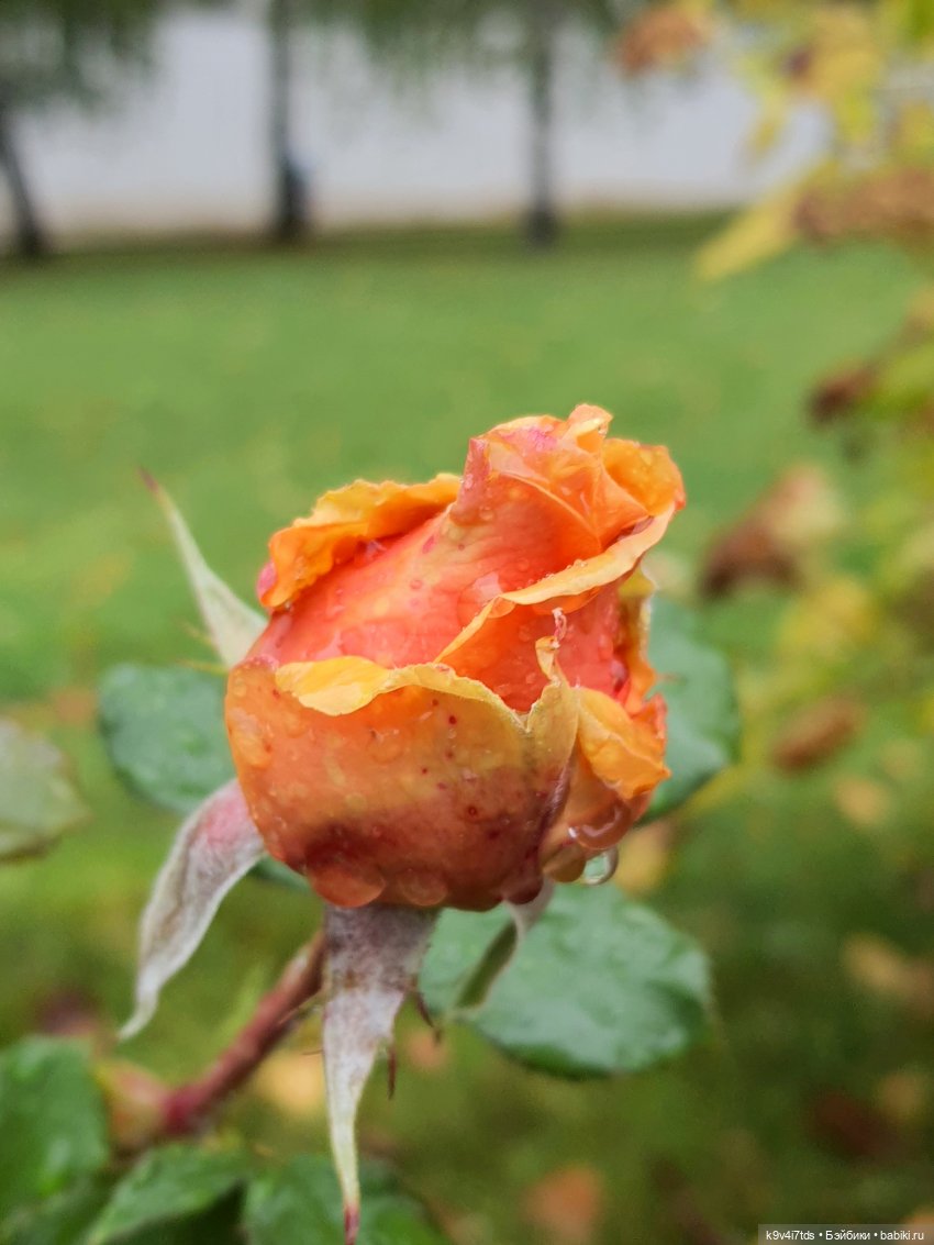 22 сентября. Старицкий Свято-Успенский Монастырь