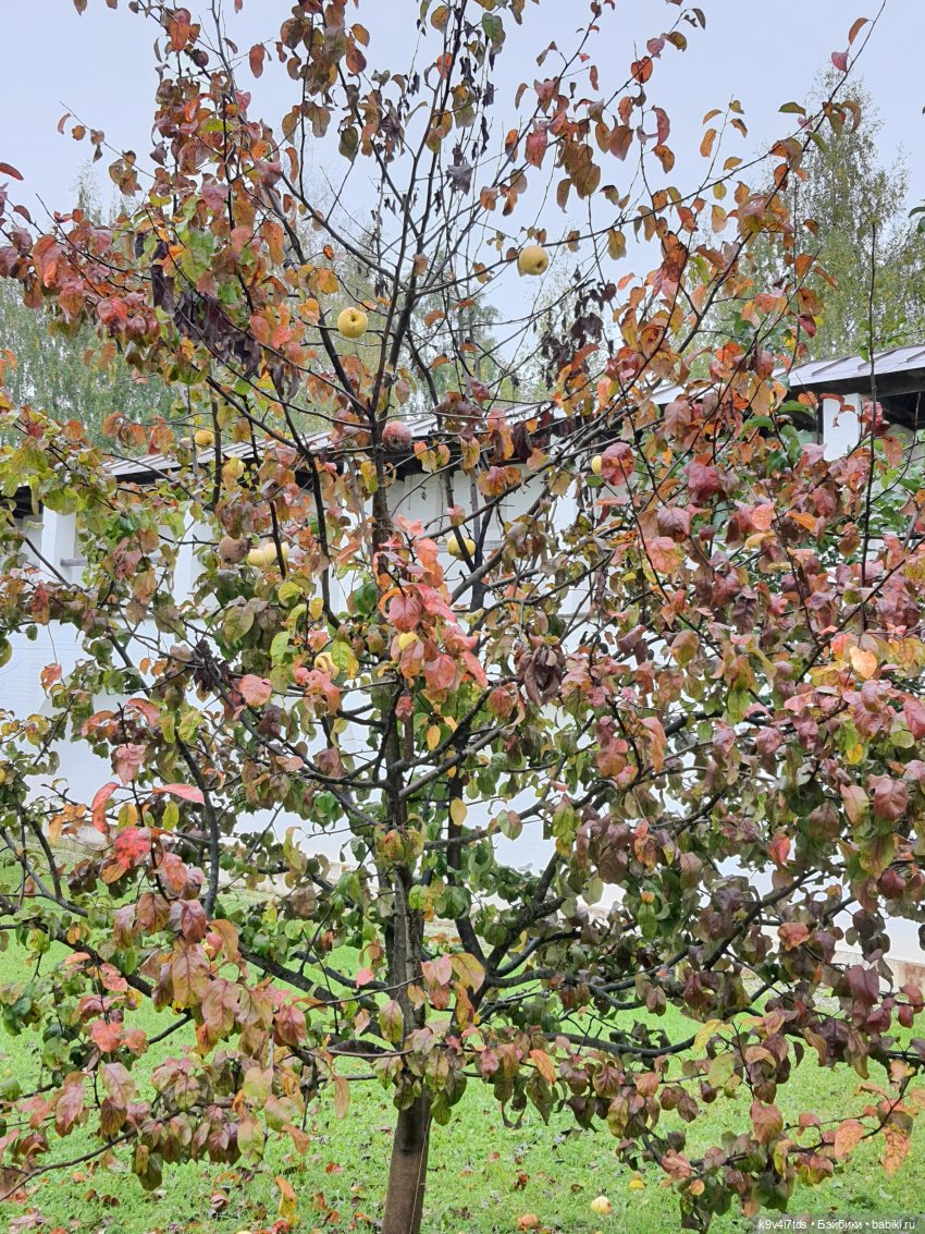 22 сентября. Старицкий Свято-Успенский Монастырь