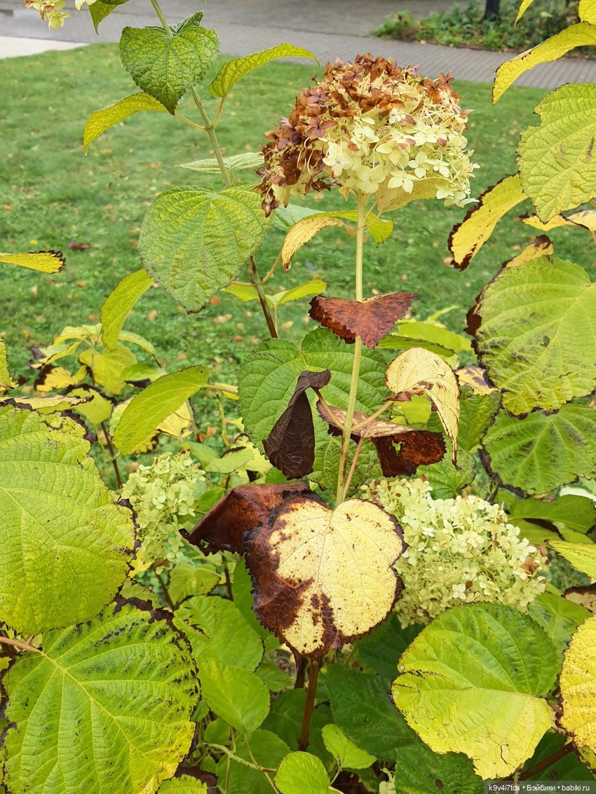 22 сентября. Старицкий Свято-Успенский Монастырь