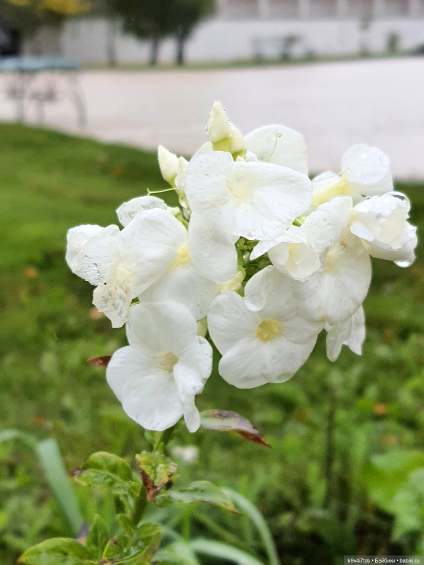 22 сентября. Старицкий Свято-Успенский Монастырь