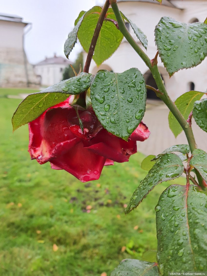 22 сентября. Старицкий Свято-Успенский Монастырь