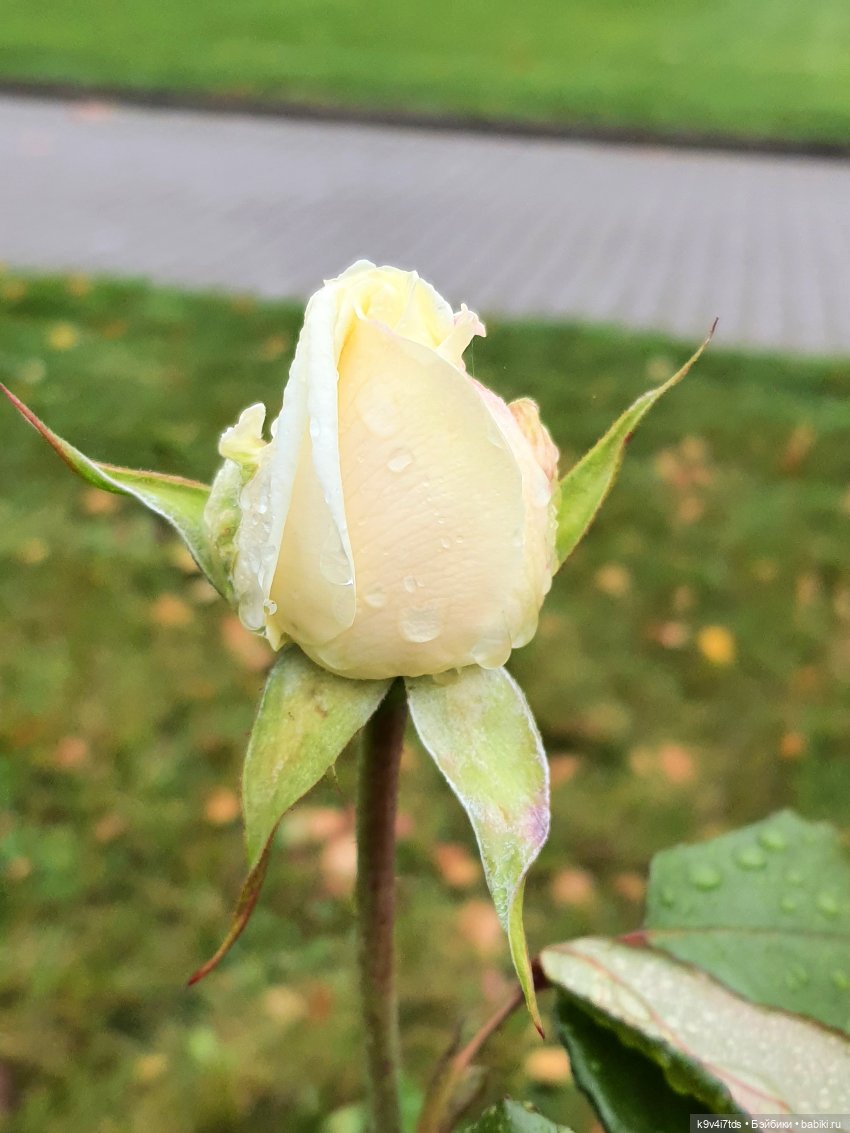 22 сентября. Старицкий Свято-Успенский Монастырь