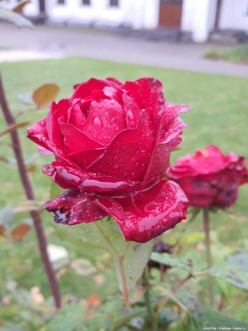 22 сентября. Старицкий Свято-Успенский Монастырь