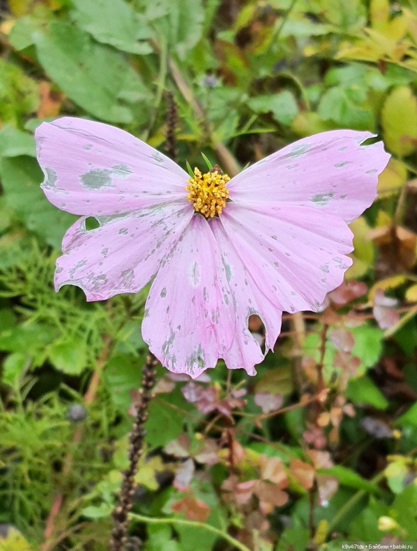 22 сентября. Старицкий Свято-Успенский Монастырь