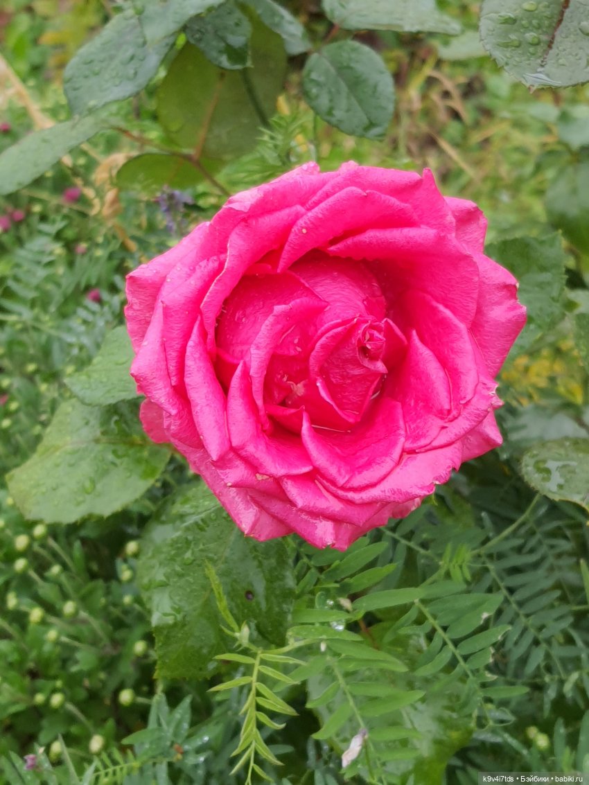 22 сентября. Старицкий Свято-Успенский Монастырь