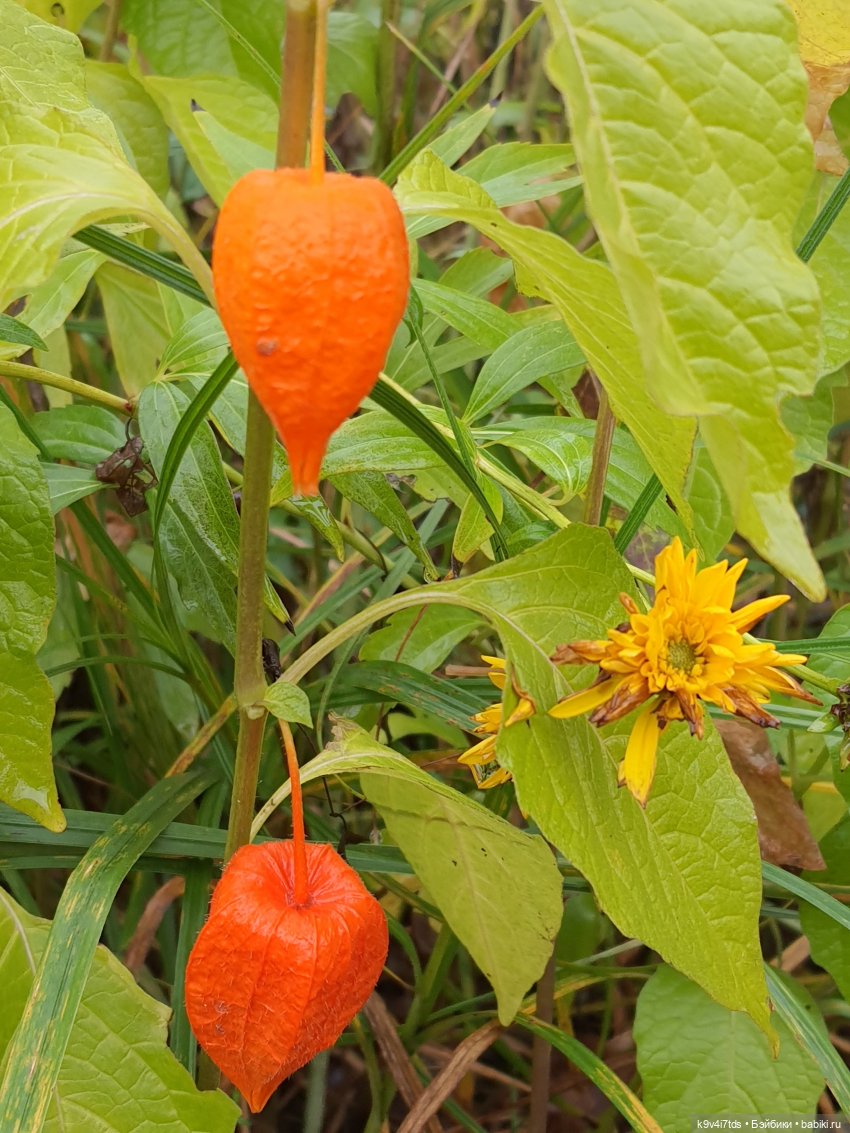 22 сентября. Старицкий Свято-Успенский Монастырь
