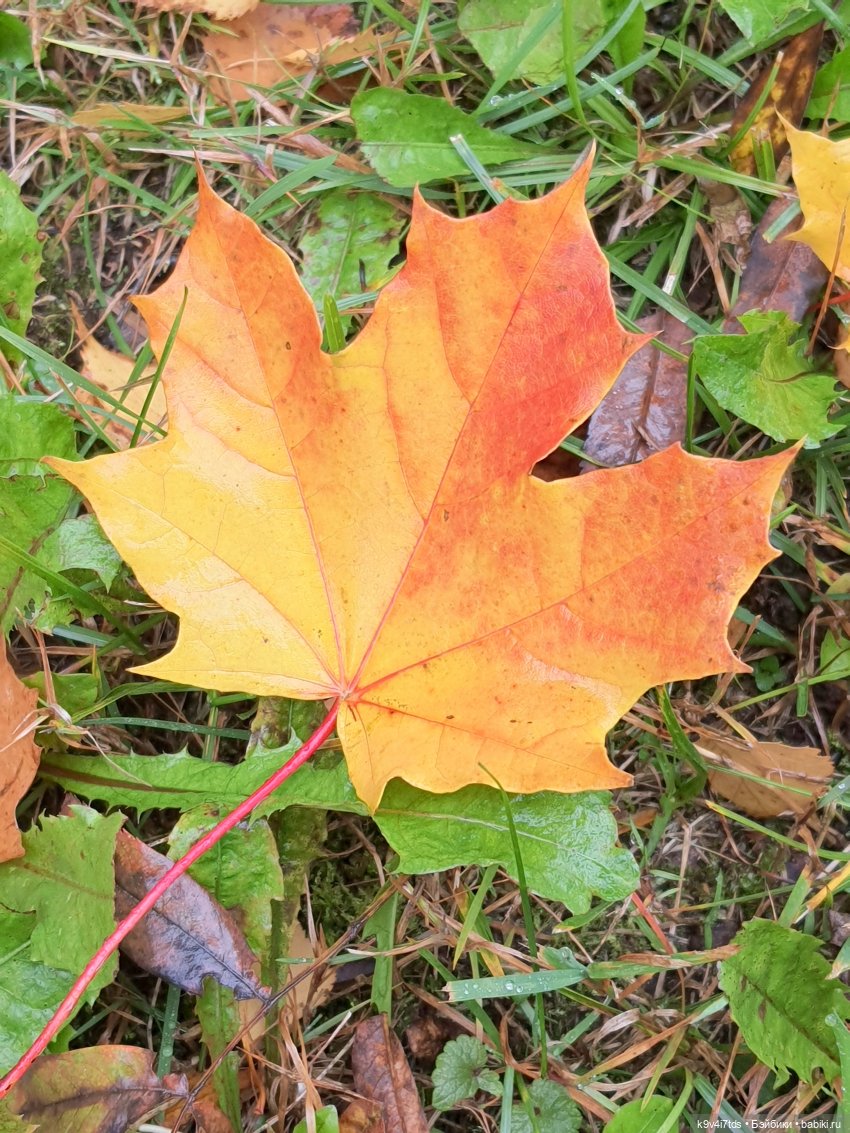 22 сентября. Старицкий Свято-Успенский Монастырь