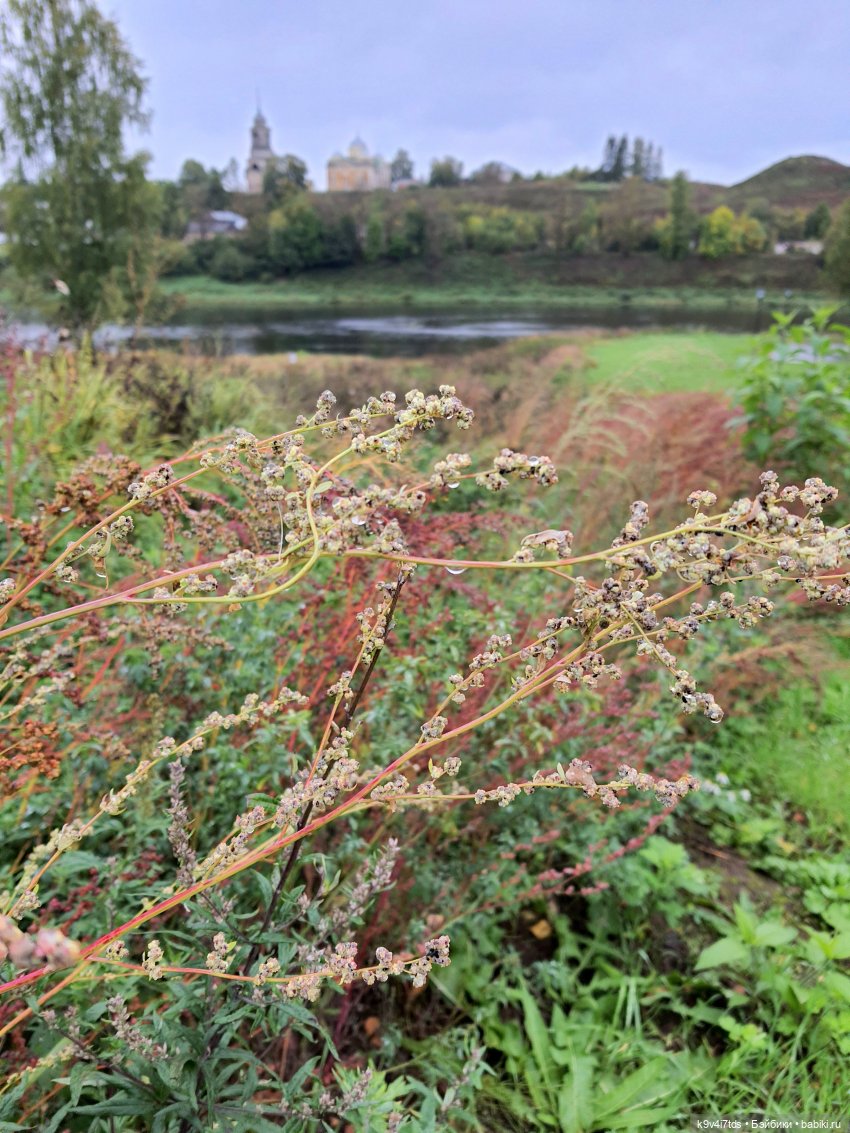 22 сентября. Старицкий Свято-Успенский Монастырь