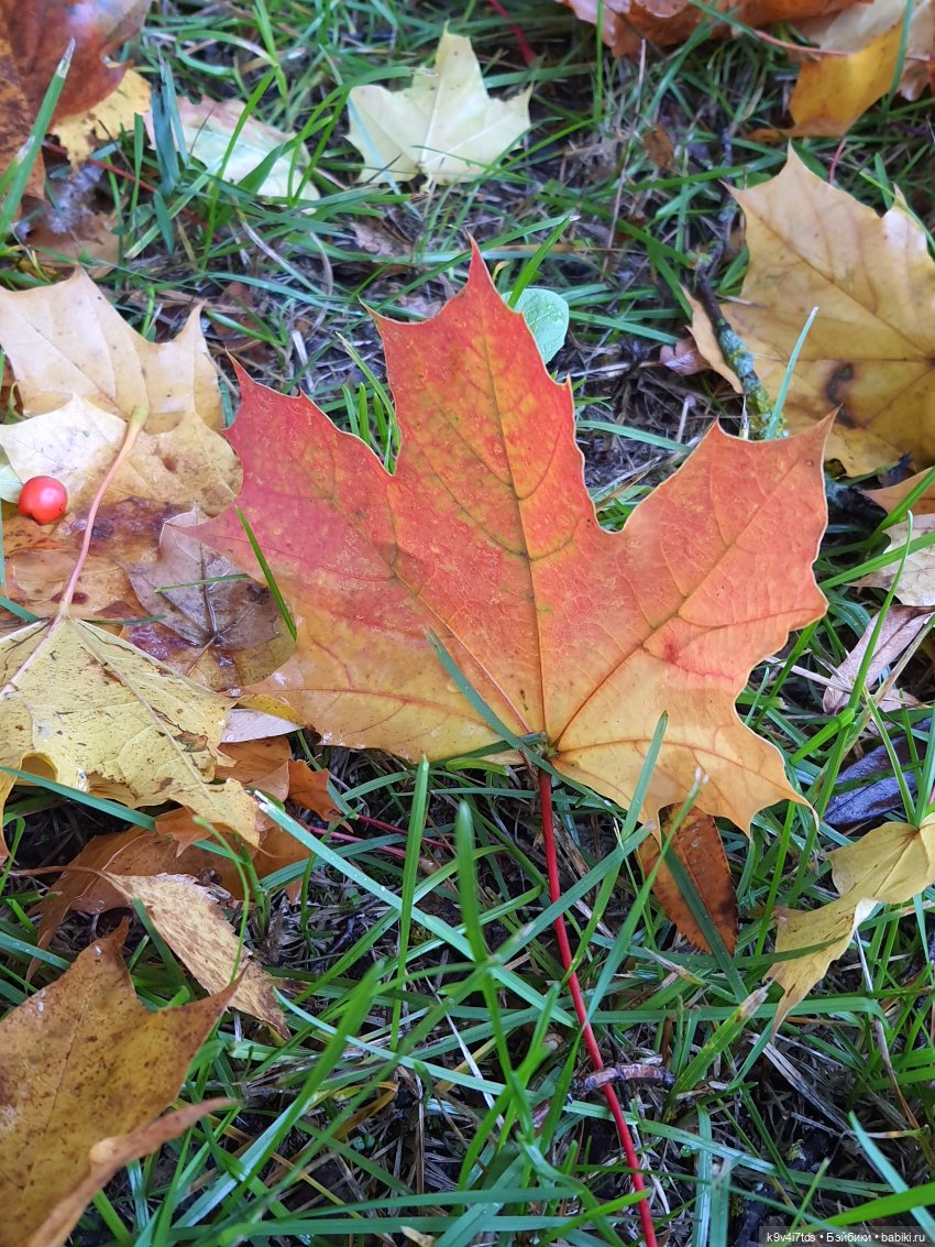 22 сентября. Старицкий Свято-Успенский Монастырь