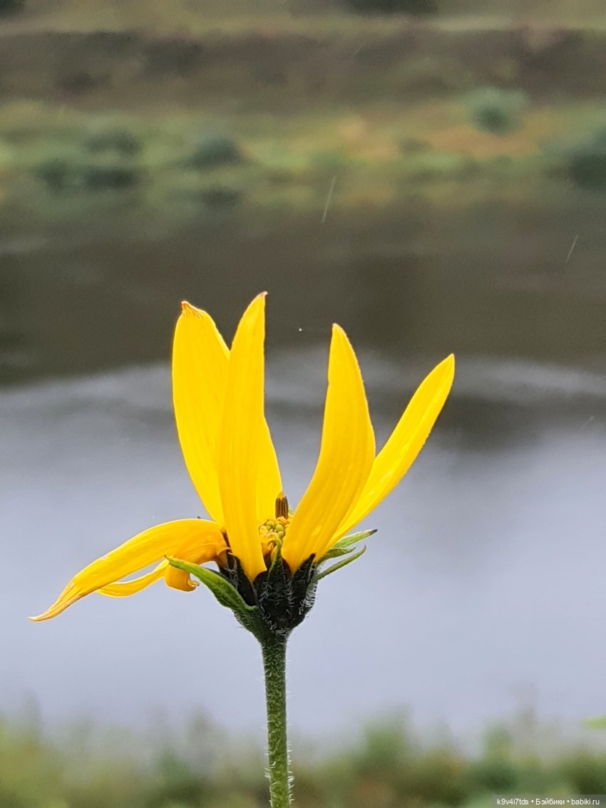 22 сентября. Старицкий Свято-Успенский Монастырь