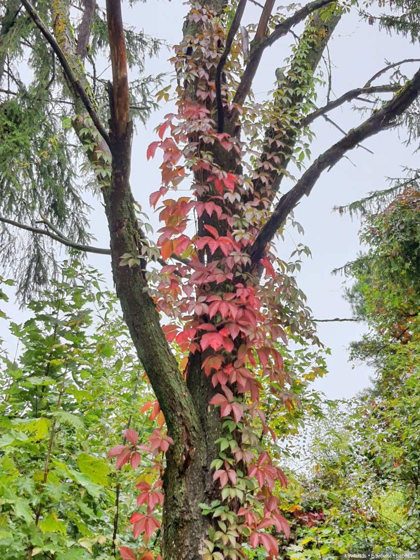 22 сентября. Старицкий Свято-Успенский Монастырь