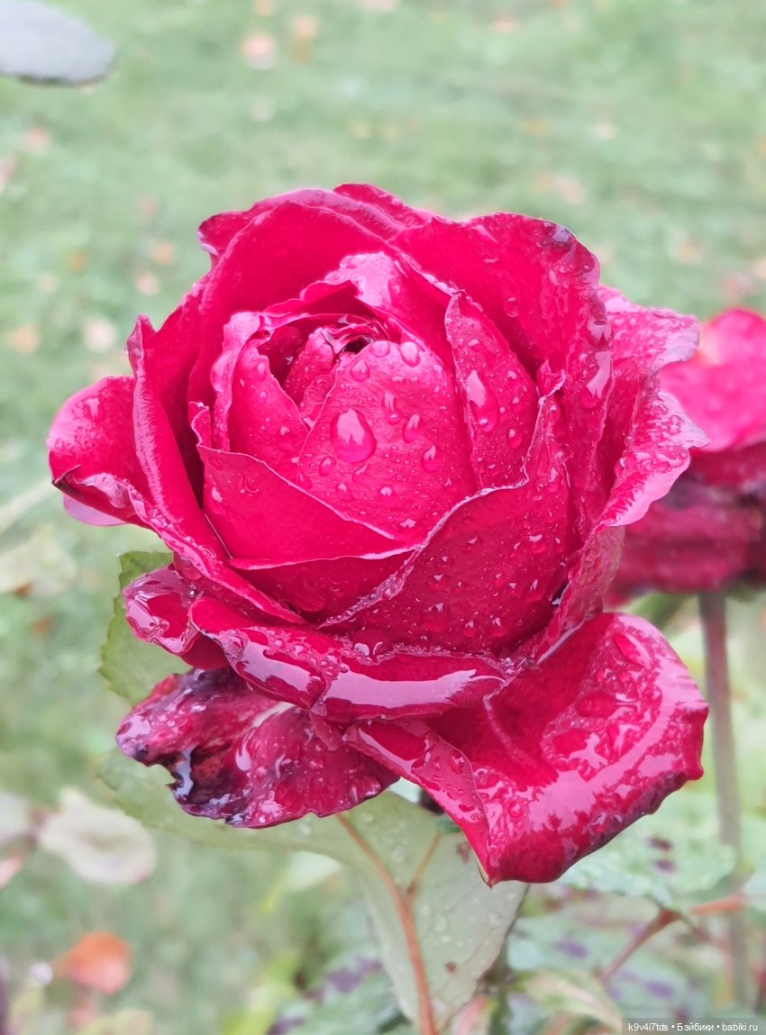 22 сентября. Старицкий Свято-Успенский Монастырь